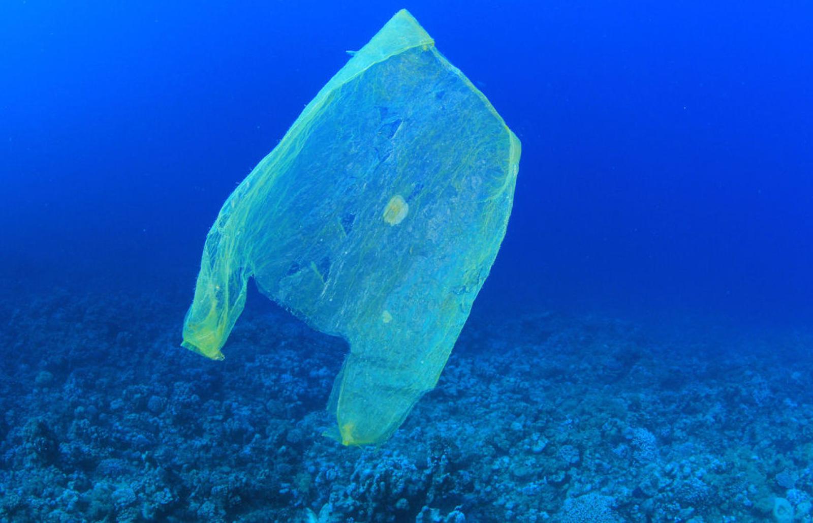 Un Mare Di Plastica Scienza In Rete   1682478 Poster 1280 Plasticbags 